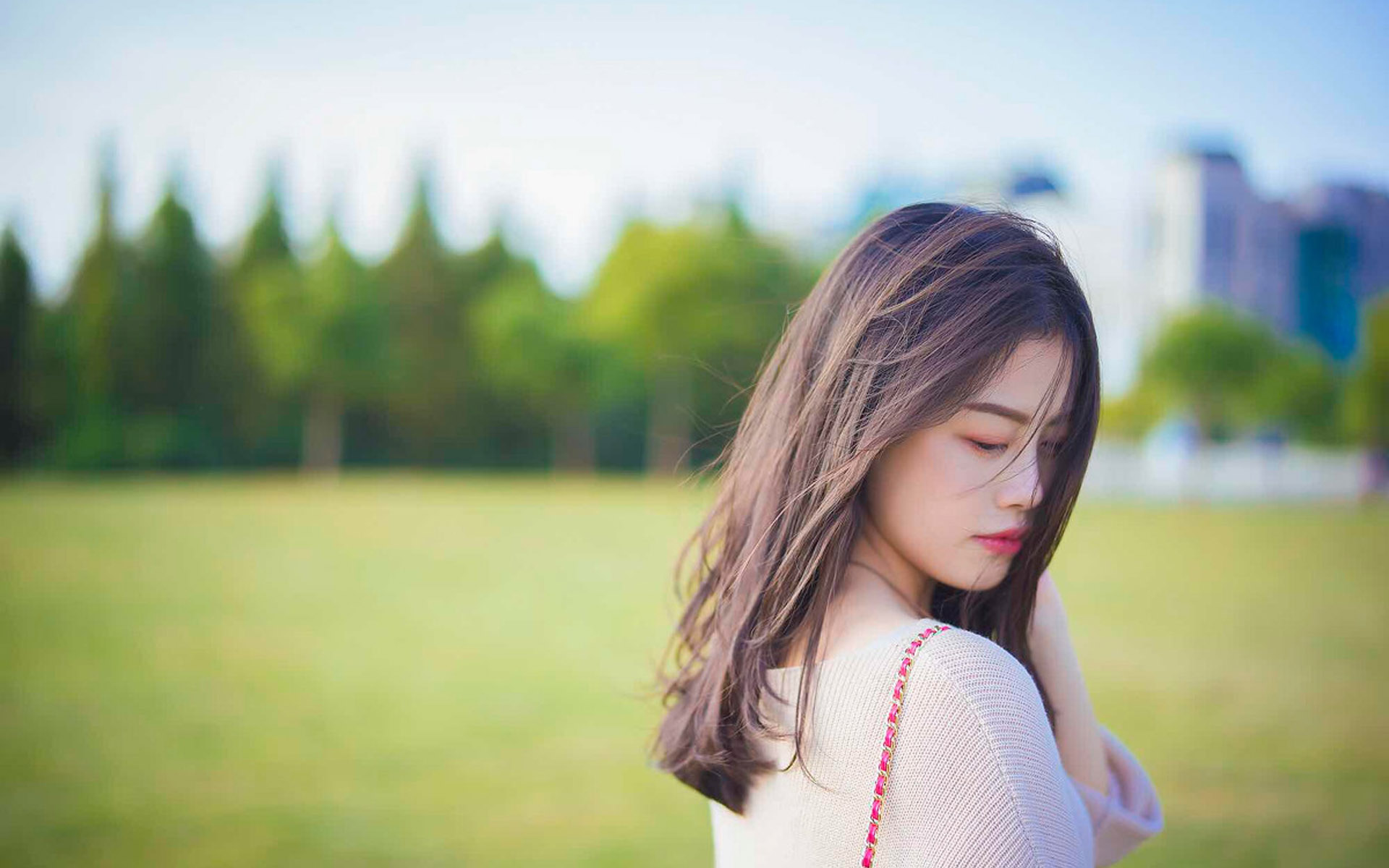 王者荣耀点赞代刷_,赞低价免费,全网最低价自助下单平台